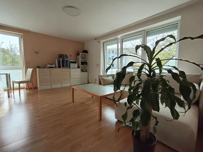 Encantadora vivienda urbana con ambiente acogedor – Foto 2