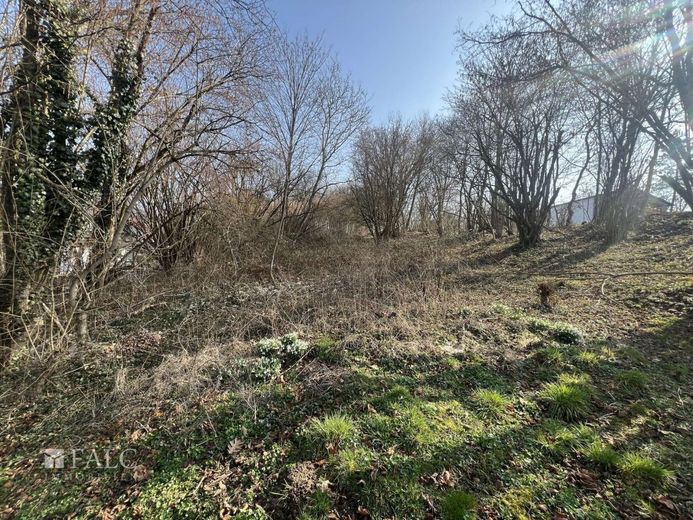 Baugrundstück in ruhiger Ortsrandlage – Grundstück