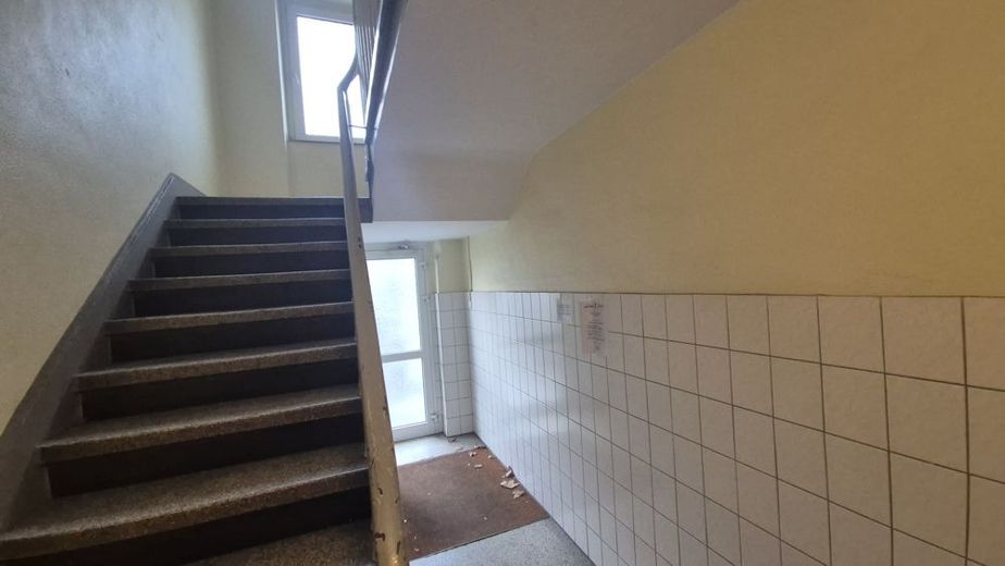 Ruhig zwischen Uni, Barbarossaplatz und Volksgarten - leerstehend mit STELLPLATZ (A384ms) – Treppenhauseingang