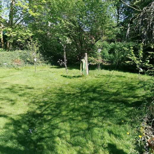"Klein, fein, dein - Baugrundstück für Ihr Tiny House-Paradies!" – Gartenansicht Bäume