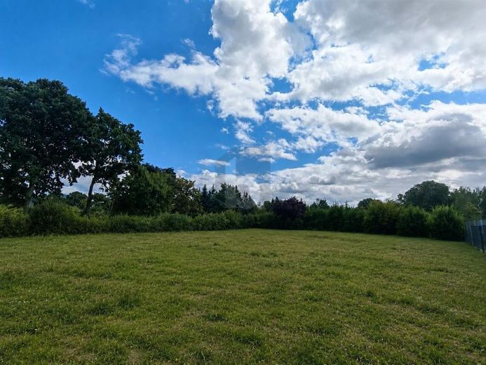 BAUGRUNDSTÜCK ZWISCHEN GRÜN UND BERLIN – Foto 1