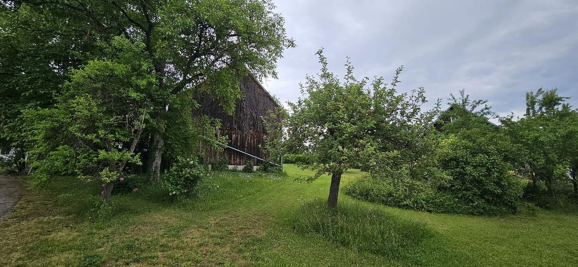 Garten Ost