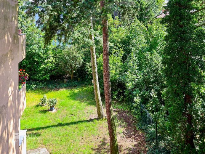 Gemeinschaftsgarten