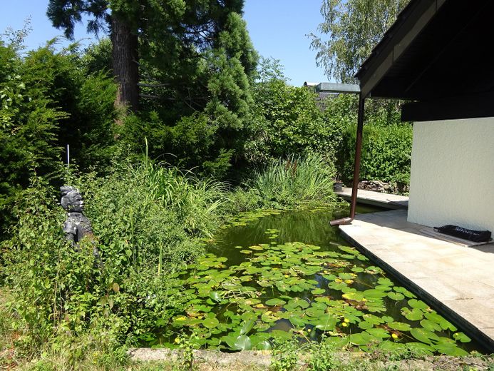 Große Maisonette mit Garten und Biotop – Biotop