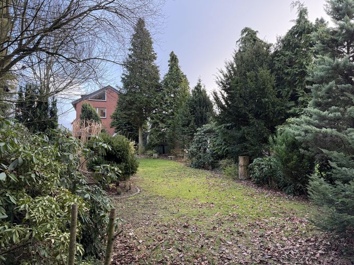 Garten mit Blick aufs Haus