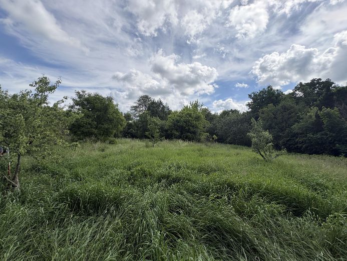 4.340 m² Natur in Biesenthal mit altem Baumbestand und Wasserlauf – Foto 7