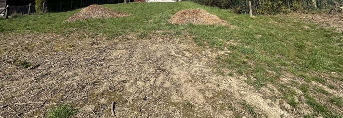 Blick vom hinteren Grundstück