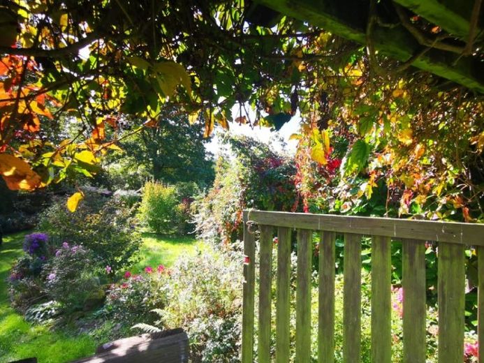 Ruhiges Gartengrundstück in naturnaher Lage Sächsischen Schweiz – Foto 1