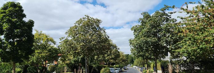 ruhiges Wohngebiet in Waldnähe