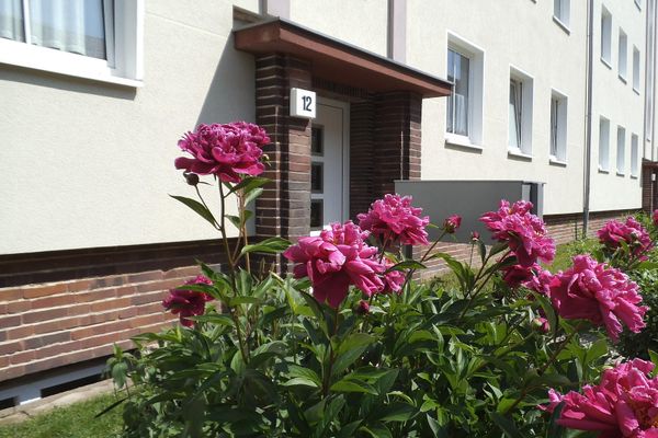 2-Raum Wohnung / Stadtfeld West / 65m²