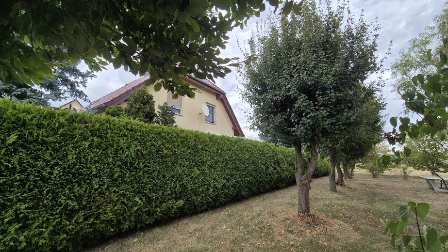 Maison individuelle à acheter – Hecke zum Gemeindegrundstück