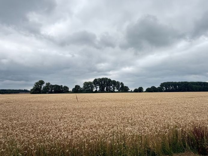 Ackerland in Kevelaer-Wetten – फोटो 1