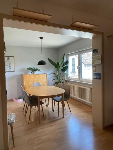 Modernes Zuhause mit Parkblick – 4-Zimmer-Wohnung mit großem Süd-Balkon & Garage – Esszimmer