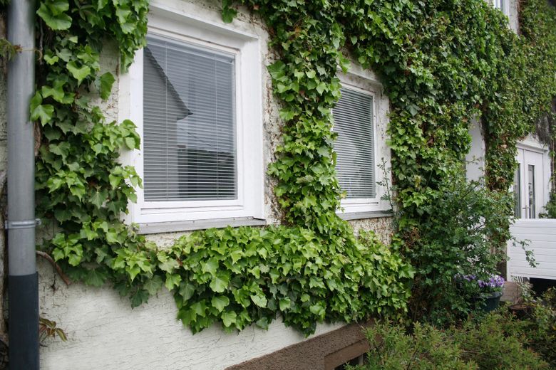 Apartment am Porscheareal – Foto 12