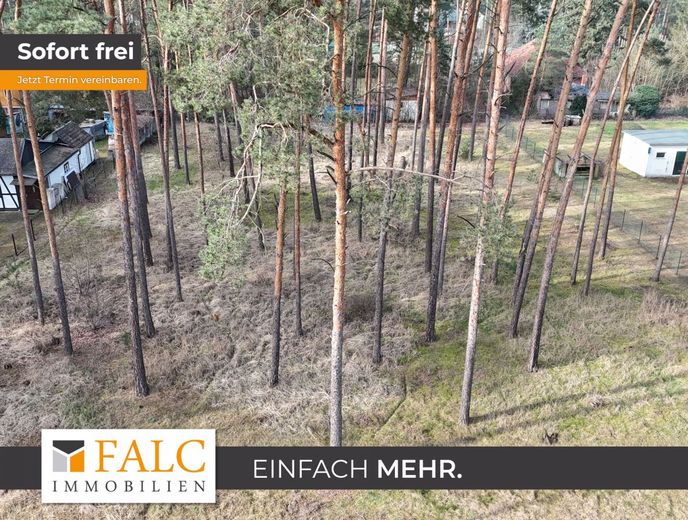 Bauträgerfrei!! 2593 m² großes Bauland in Borkheide – Bauträgerfrei!! 2593 m² großes Bauland