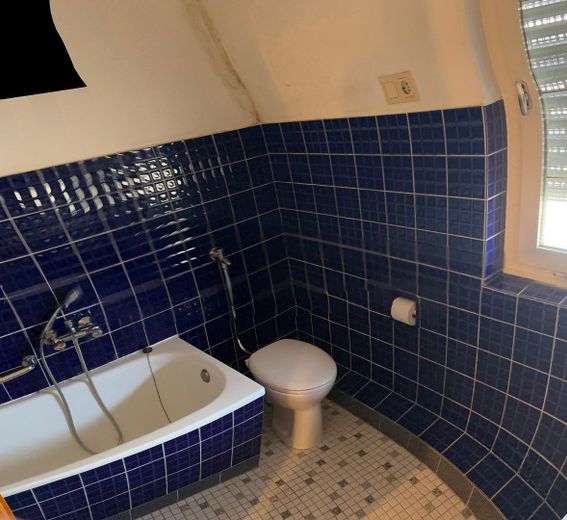 Bungalow mit großer Doppelgarage in ruhiger, zentraler Lage auf tollem Grundstück – Bad/WC