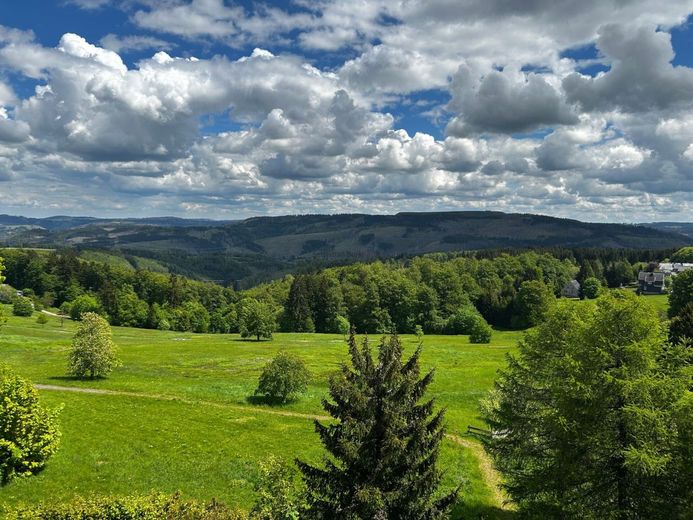 Faktor 6,5!!! Kapitalanlage mit etabliertem Gastronomie- &amp; Pensionsbetrieb im Kurort Masserberg – Ausblick_2