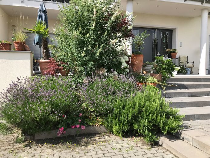 Esclusiva e senza barriere, top efficienza energetica A, appartamento proprietà in casa in casa – Photo 4