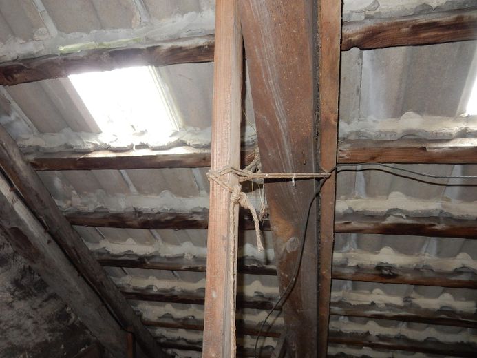 Zuhause mit viel Platz in Strasburg – Foto 21