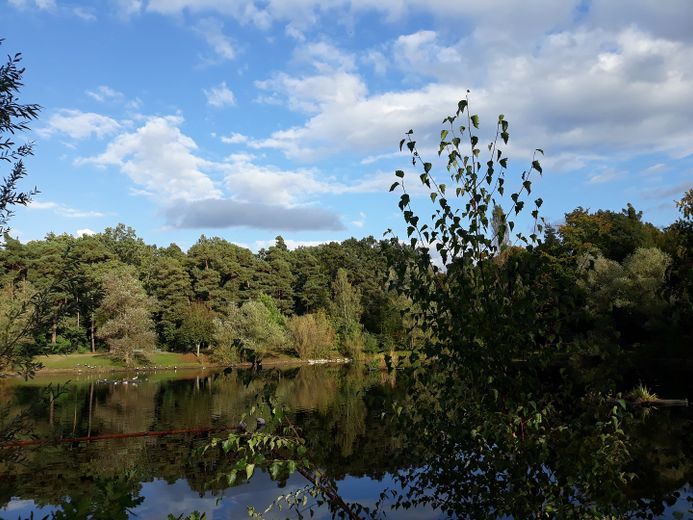 Traumvilla am See mit Einliegerwohnung – Wunderschöner Seeblick