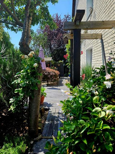 Top gepflegtes Haus*traumhafter Garten*zentrumsnah & naturverbundener Stadtteil Köln*3 Wohnkonzepte – Sonn- und Grillecke