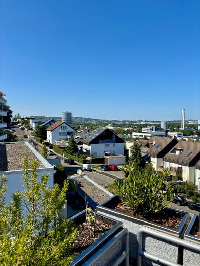 Ausblick