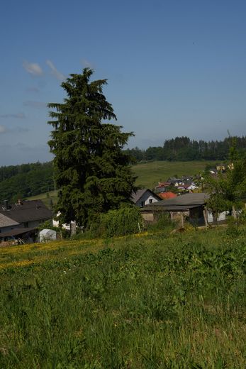 Blick Richtung Garten