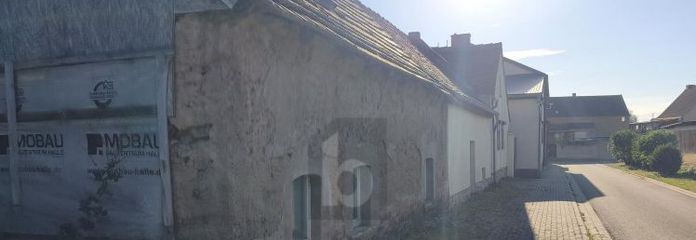 LANDLIEBE MIT PERSPEKTIVE