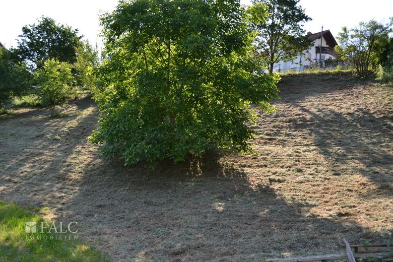 Grundstück