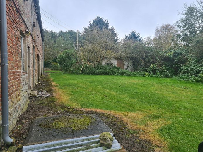 Investmentchance auf Rügen: Mehrfamilienhaus + ca. 3.087 m² Grundstück, Wasser-/Ostseenähe – Grundstück Rückseite