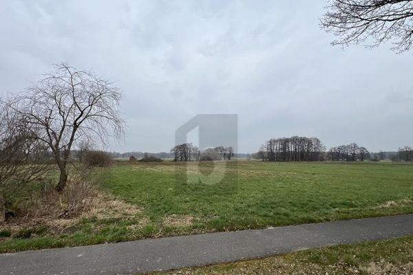 SONNIGES WEIDEPARADIES FÜR TIERHALTUNG