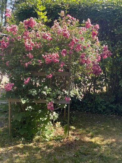 Freizeit Grundstück – Foto 3