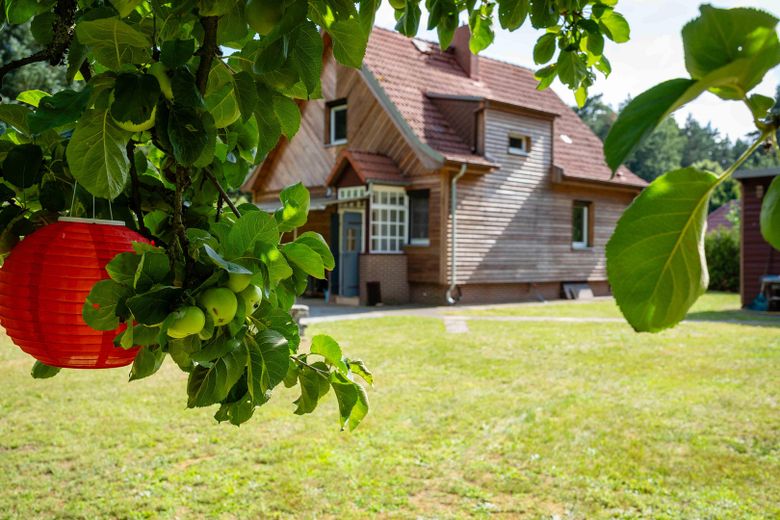Vom Apfelbaum aufs Haus