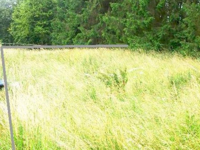 Lissendorf Baugrundstück Ecklage Erschlossen gerader Schnitt – Foto 1