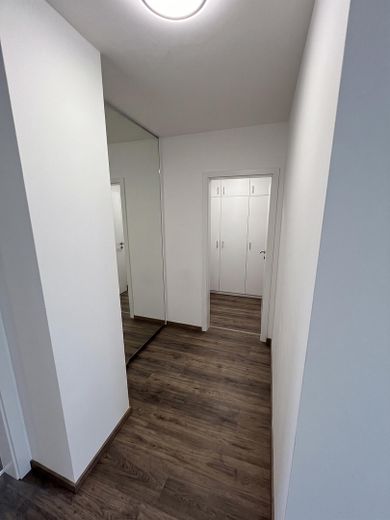 Fully renovated 3-room apartment with kitchen and sunny balcony – Photo 5