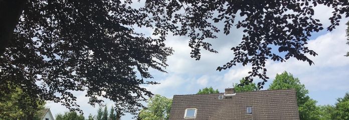 Blick aus dem Gartenpark