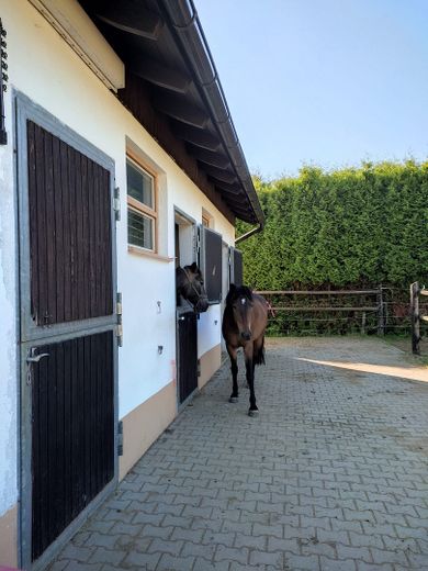 Modernisiertes Landanwesen mit Pferdehaltung | 250 m² | 4.000 m² – Stall