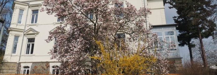 DSCN6326