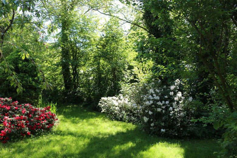 Garten Front