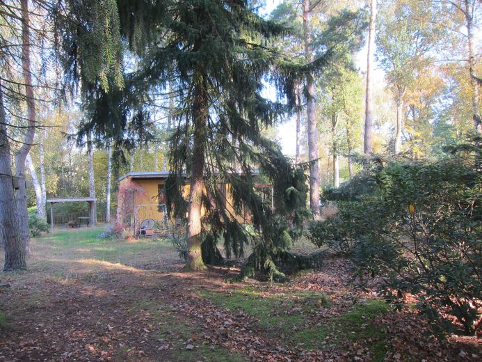 Baugrundstück – Foto 3