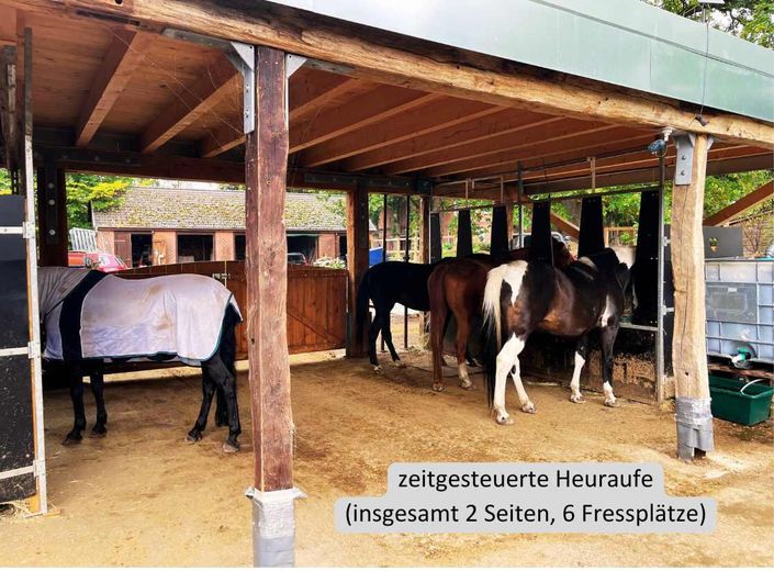 (zeitgesteuerte) Heufütterung