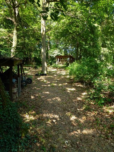 Blick aufs Gartenhaus