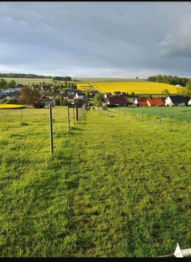 Bebra-OT, Landhaus + Pferdehof – Foto 18