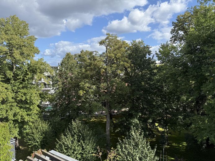 Blick in den Privatgarten