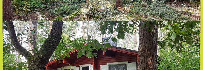 Deux maisons en rondins dans la forêt, location de vacances et habitation dans la réserve de biosphère de l’Elbtalaue – Das blaue und das rote Haus