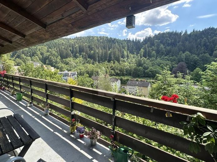 TRAUMHAFTER PANORAMABLICK AUF DEN SCHWARZWALD – Foto 1