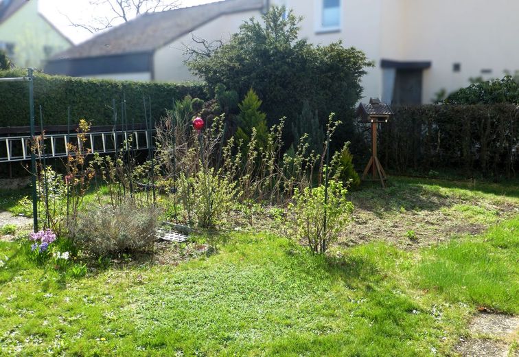 Riesiges Sanierungshaus in Dormitz (59.000  Kaufpreis + Grundstückspacht) – Garten_Südosten