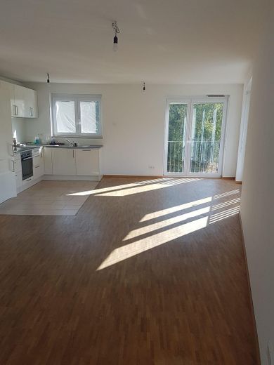 Schöne moderne helle 4 Zi. Wohnung nähe Rebstockbad ohne Provision – Küche im Wohnzimmer
