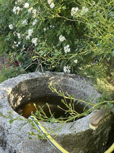 Impression Garten