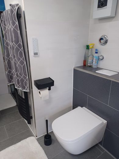 Klimatisierte mod.lichtdurchfl.DG-Whg. Pelleto+PV-Anlage,unverb.FERNSICHT+3-Fachvergl. – Badezimmer2 